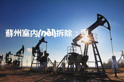 蘇州室內(nèi)拆除：專業(yè)高效，安全環(huán)保一站式服務(wù)